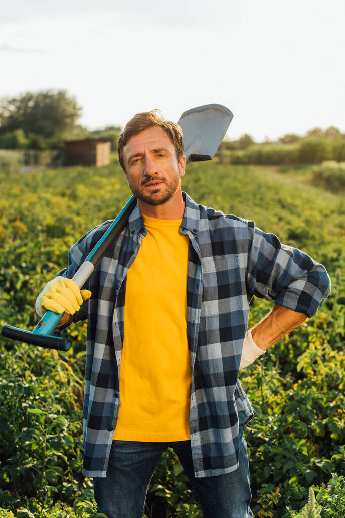 фермер в клетчатой рубашке смотрит в камеру, стоя в поле с лопатой - Фото, изображение