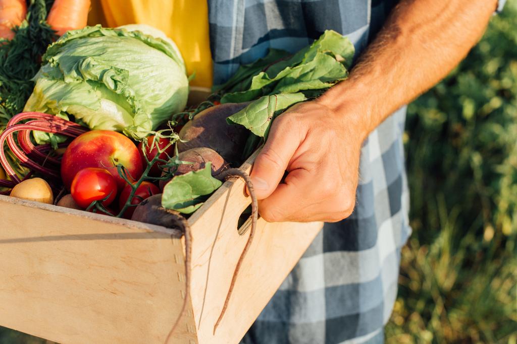 cropped view of farmer holding wooden box with fresh vegetables - Photo, Image