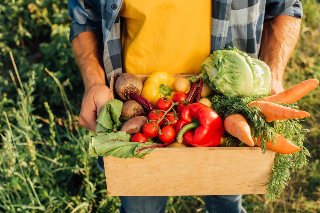 oříznutý pohled na farmáře držícího dřevěnou krabici s čerstvými cherry rajčaty, paprikou, zelím, mrkví a řepou - Fotografie, Obrázek