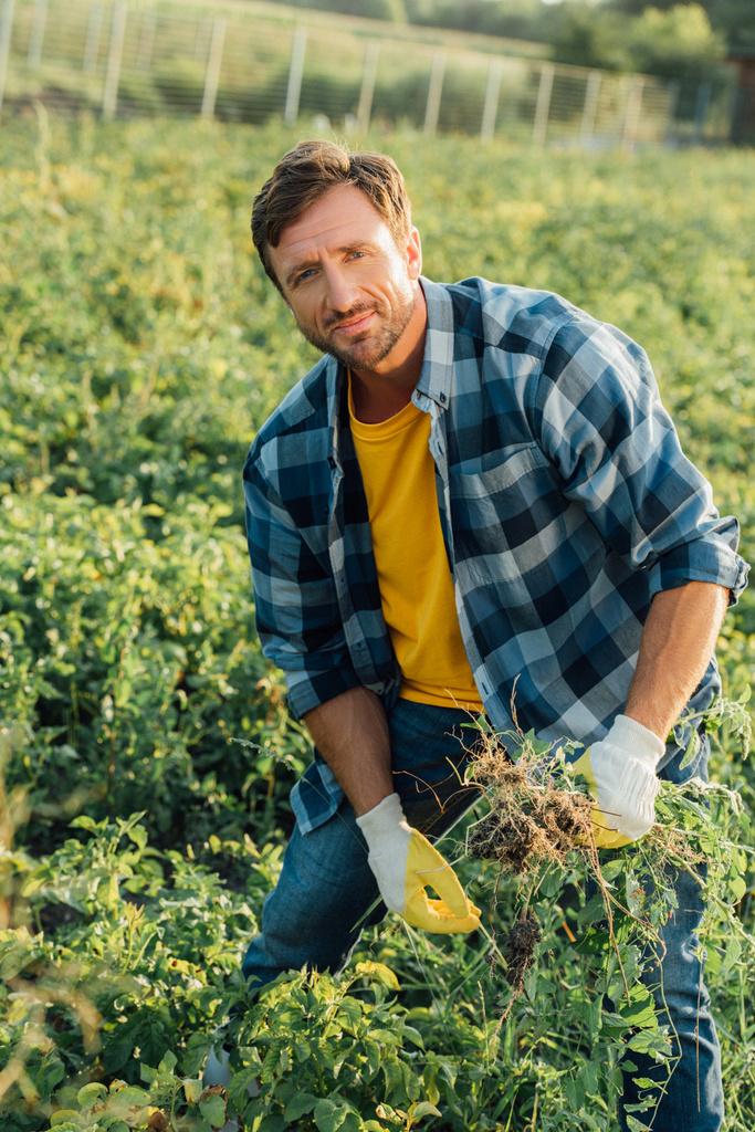 agriculteur en chemise à carreaux et gants regardant la caméra pendant le champ de désherbage - Photo, image