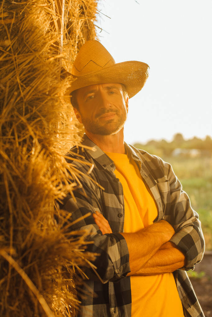 小切手のシャツを着た牧場主とカメラを見ている藁帽子交差腕で干し草の俵にもたれて - 写真・画像
