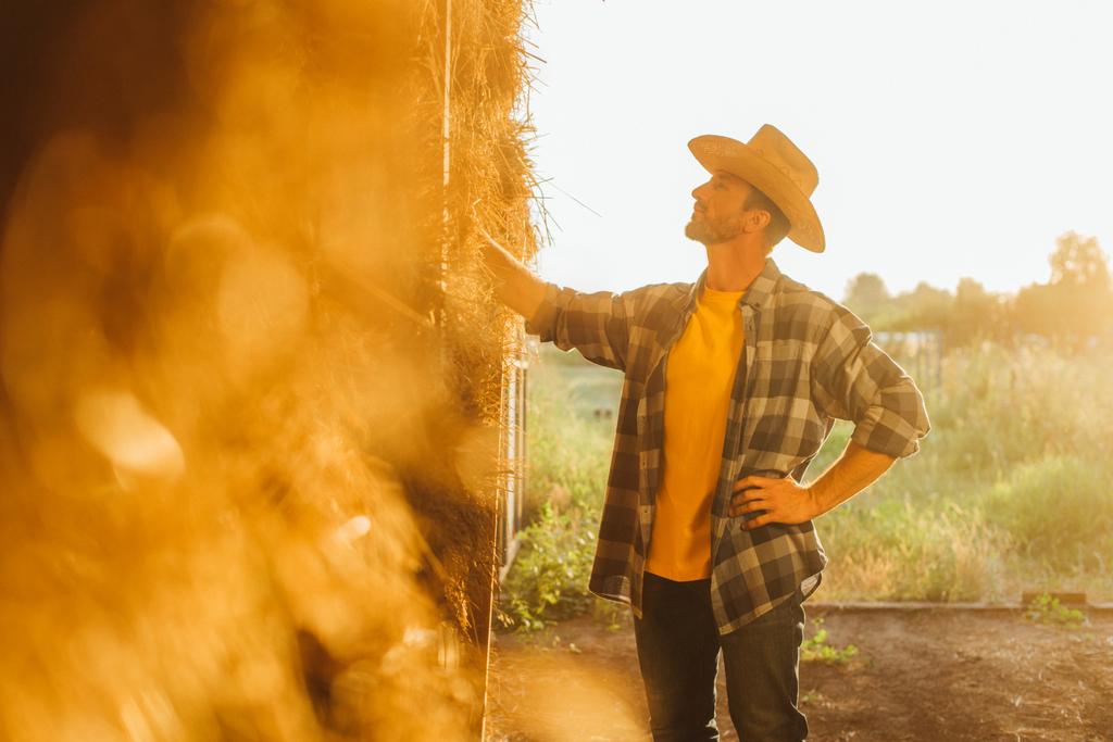 селективний фокус фермера в солом'яному капелюсі та сорочці, що торкається тюка сіна на сонці
 - Фото, зображення