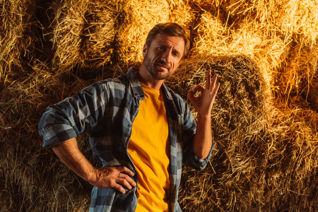αγρότης με καρό πουκάμισο στέκεται με το χέρι στο ισχίο και δείχνει ok χειρονομία κοντά άχυρο στοίβα - Φωτογραφία, εικόνα