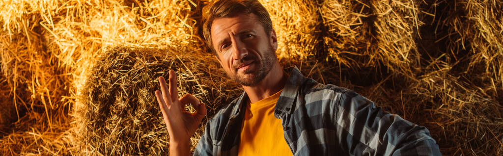 website header of rancher looking at camera and showing ok gesture near stack of hay - Photo, Image