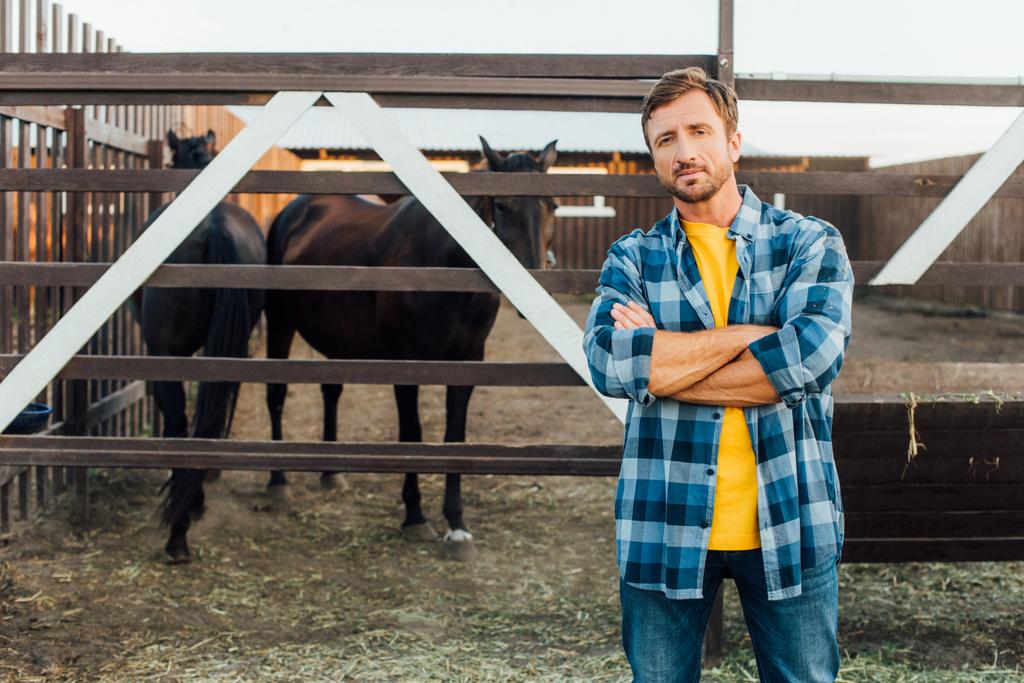 agricultor em camisa quadriculada olhando para a câmera enquanto de pé com braços cruzados perto curral com cavalos - Foto, Imagem