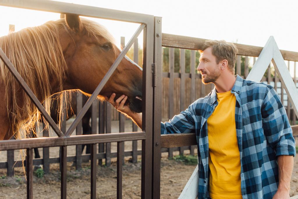 ranchero en camisa a cuadros tocando cabeza de caballo marrón en corral en granja - Foto, imagen