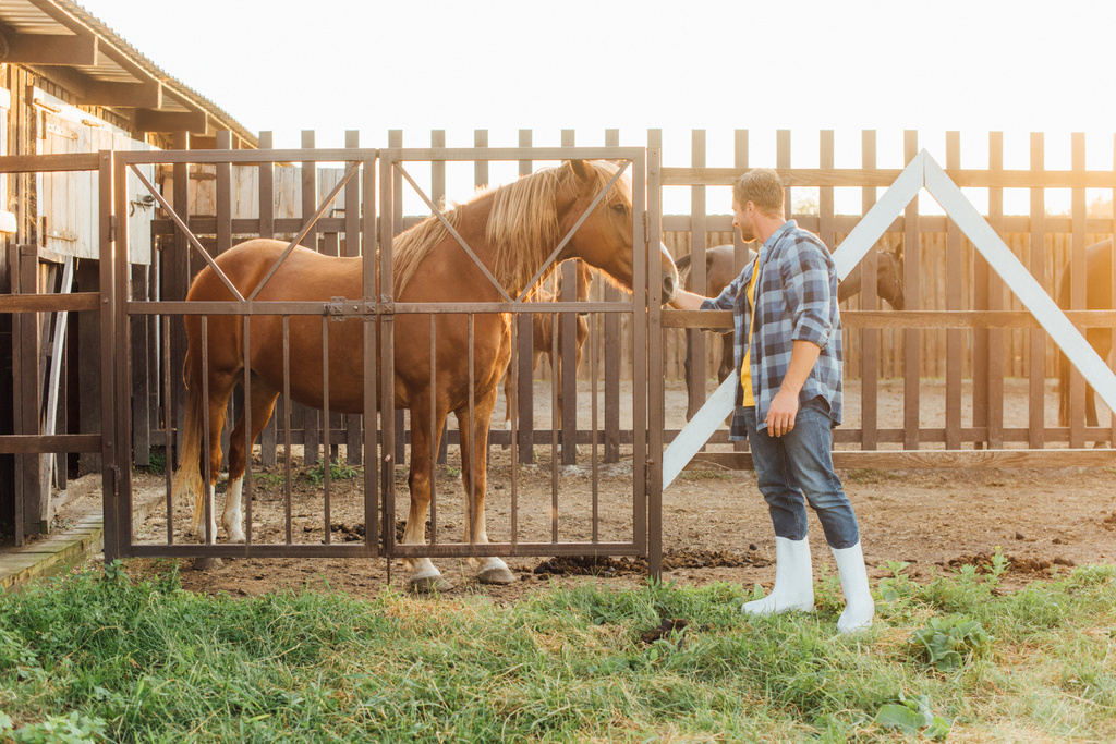 rancher in rubber boots and plaid shirt touching head of brown horse in corral - Photo, Image