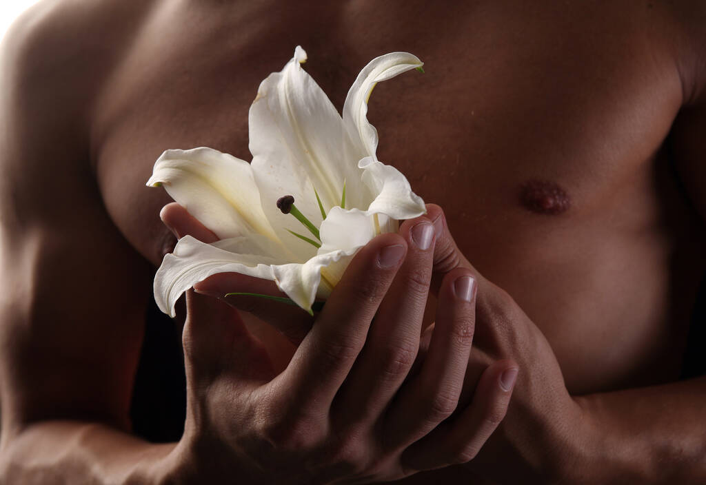 Nahaufnahme zarte weiße Lilie in den Händen vor dem Hintergrund des nackten Oberkörpers, Studio dunklen Hintergrund - Foto, Bild