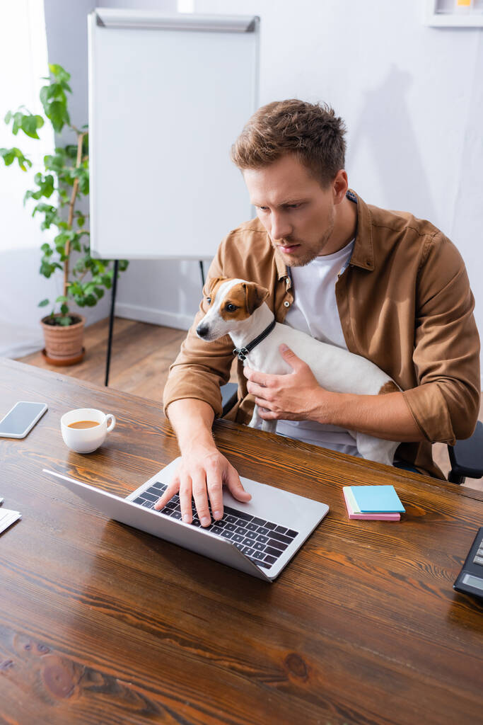 високий кут зору концентрованого бізнесмена, який тримає джек-російського тер'єра собаку під час роботи в ноутбуці в офісі
 - Фото, зображення