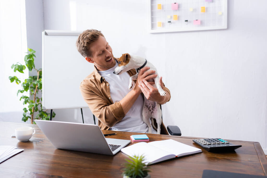 бізнесмен в повсякденному одязі тримає джек-російського тер'єра собаку, сидячи в офісі біля ноутбука і ноутбука
 - Фото, зображення