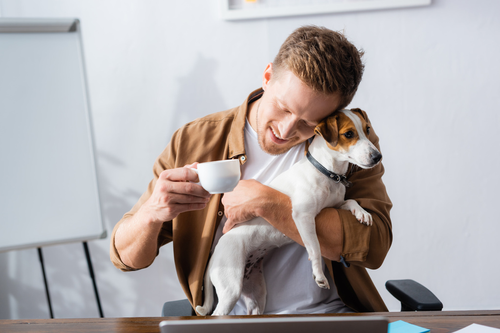 młody biznesmen trzymając filiżankę kawy podczas przytulania Jack Russell terrier pies w miejscu pracy - Zdjęcie, obraz