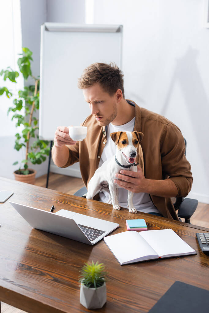 doordachte zakenman met koffiekop terwijl hij keek naar laptop in de buurt van Jack Russell terrier hond - Foto, afbeelding
