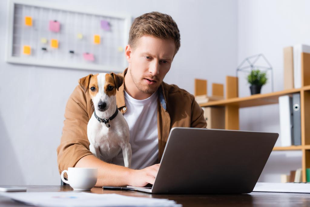 concentrated businessman working at laptop near jack russell terrier dog and cup of coffee on desk - Photo, Image