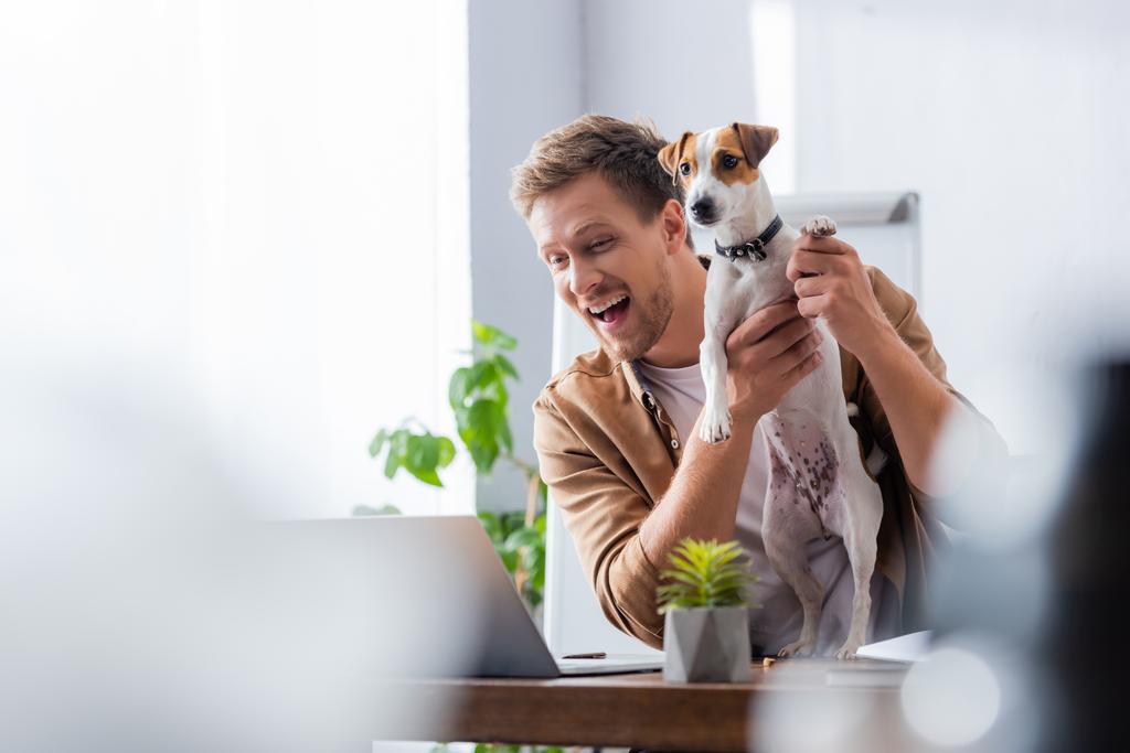 enfoque selectivo de empresario emocionado sosteniendo gato russell terrier perro mientras está sentado en el lugar de trabajo - Foto, imagen