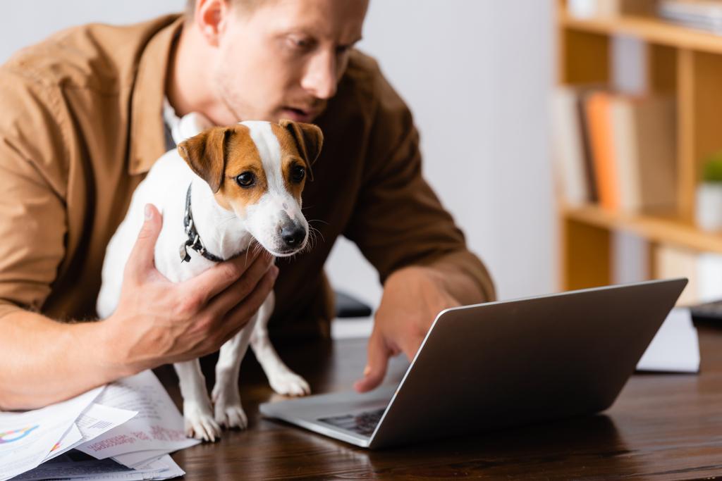 enfoque selectivo de joven hombre de negocios con Jack Russell terrier perro trabajando en el ordenador portátil en la oficina - Foto, Imagen