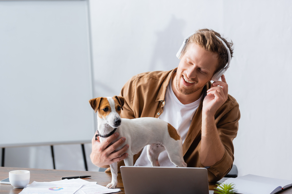uomo d'affari in abiti casual e cuffie wireless vicino jack russell terrier cane sul posto di lavoro - Foto, immagini