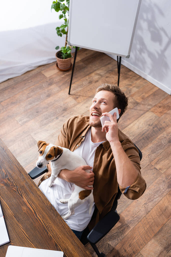 Hochwinkel-Ansicht eines Geschäftsmannes, der auf dem Smartphone spricht, während er Jack Russell Terrier-Hund hält - Foto, Bild