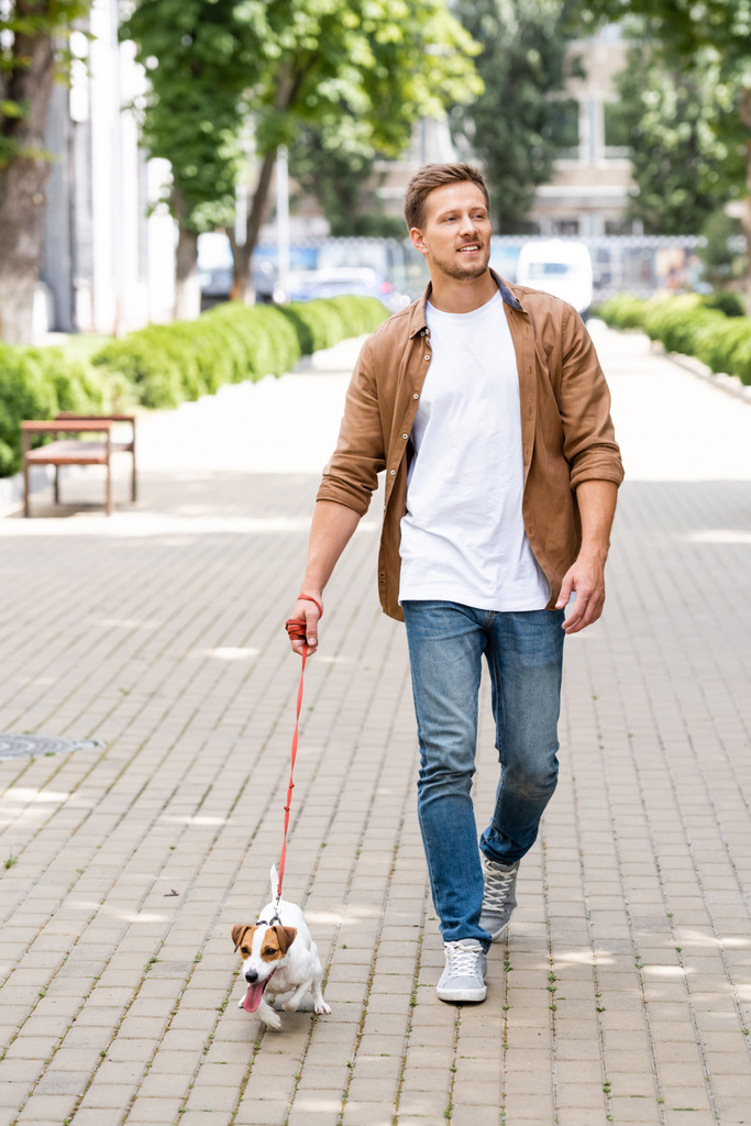 νεαρός άνδρας σε casual ρούχα με τα πόδια με τον Jack Russell Terrier σκυλί με λουρί κατά μήκος αστικού σοκάκι - Φωτογραφία, εικόνα