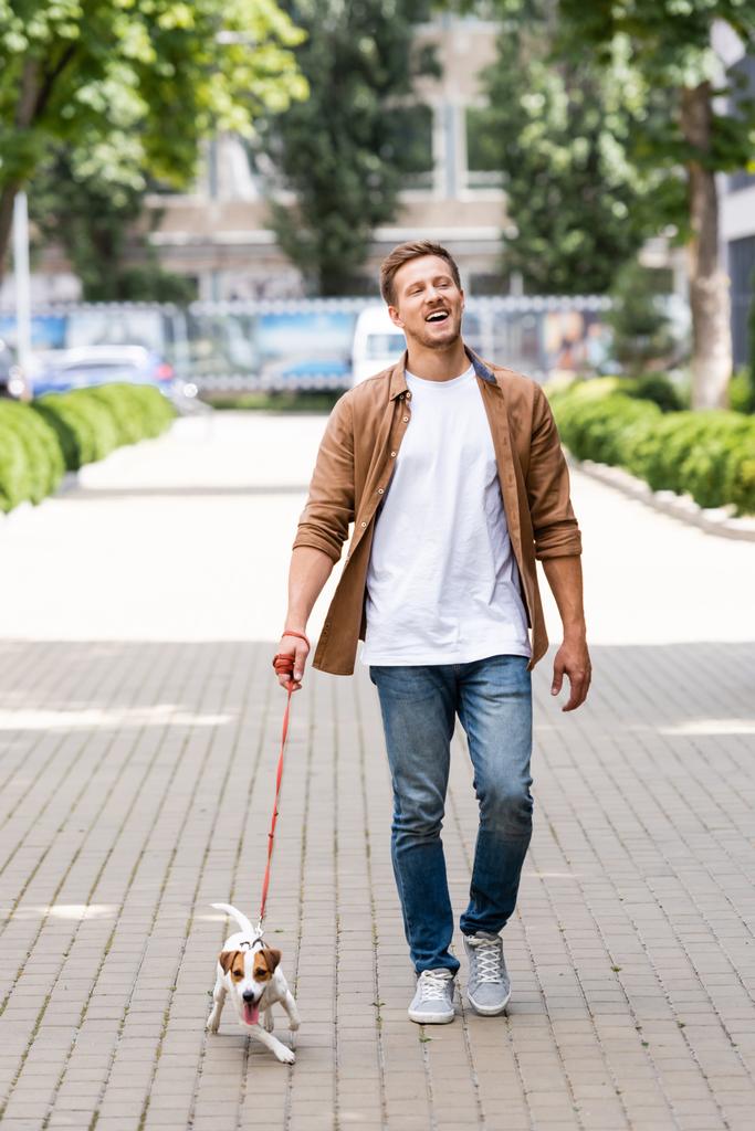 Nuori mies farkuissa kävelee pitkin kaupungin kujaa Jack Russell terrieri koira hihnassa - Valokuva, kuva