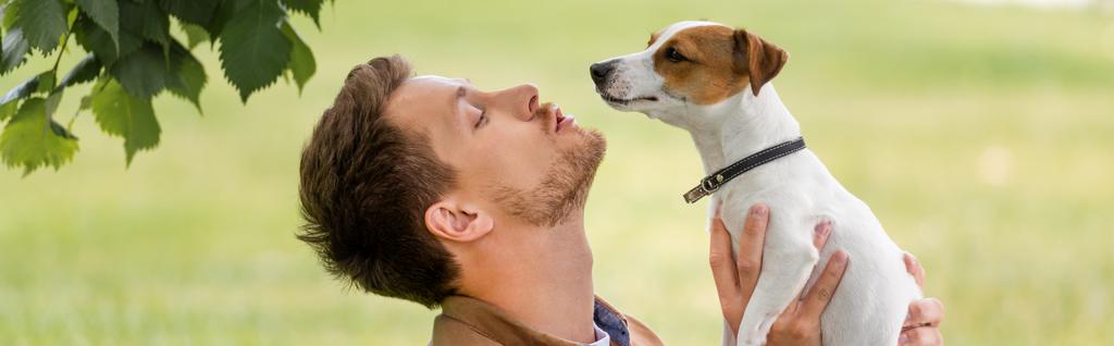 Kafasında kahverengi lekeler olan Jack Russell Terrier köpeği tutan genç adamın yatay konsepti - Fotoğraf, Görsel