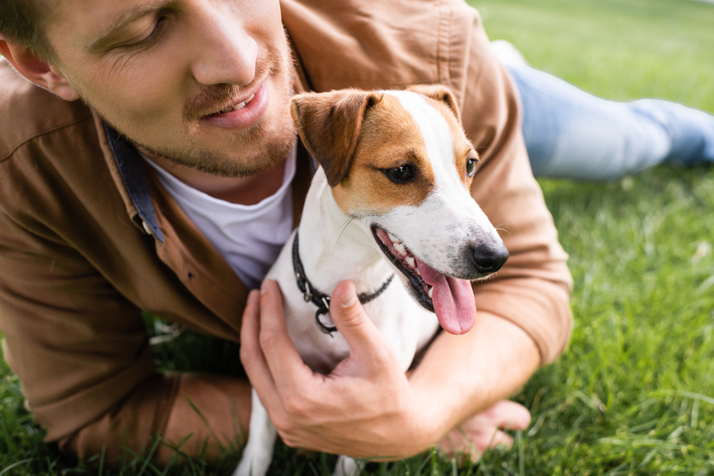 vista parziale di giovane uomo coccole jack russell terrier cane mentre si rilassa su erba verde - Foto, immagini