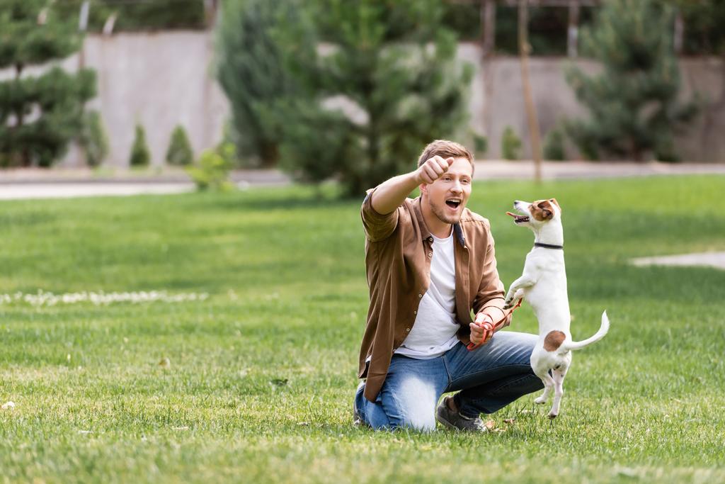 Selektivní zaměření vzrušený muž hraje s jack Russell teriér v parku  - Fotografie, Obrázek