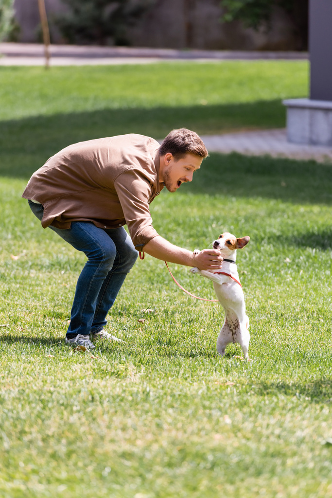 enfoque selectivo de hombre excitado entrenamiento jack russell terrier en la hierba en el parque  - Foto, Imagen