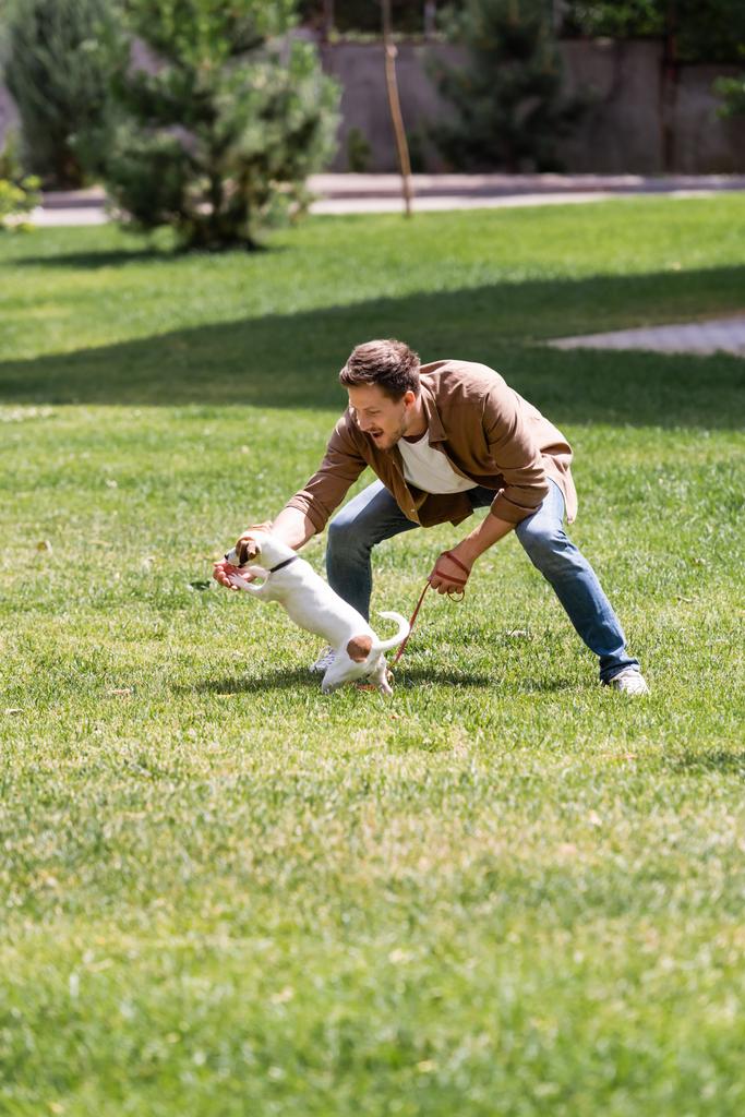 Focus sélectif de l'homme excité tenant la laisse tout en jouant avec Jack Russell terrier dans le parc  - Photo, image