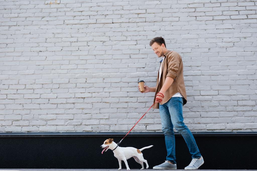 Junger Mann mit Kaffee to go beim Gassigehen mit angeleintem Jack Russell Terrier in der Nähe eines Gebäudes - Foto, Bild