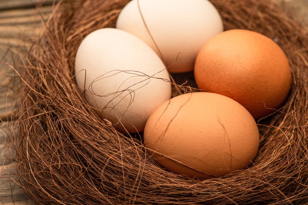 巣の中の新鮮な鶏の卵を間近で見ることができます - 写真・画像