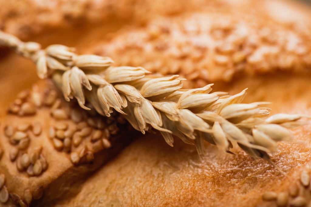 закрыть вид на свежеиспеченную буханку белого хлеба со специями - Фото, изображение