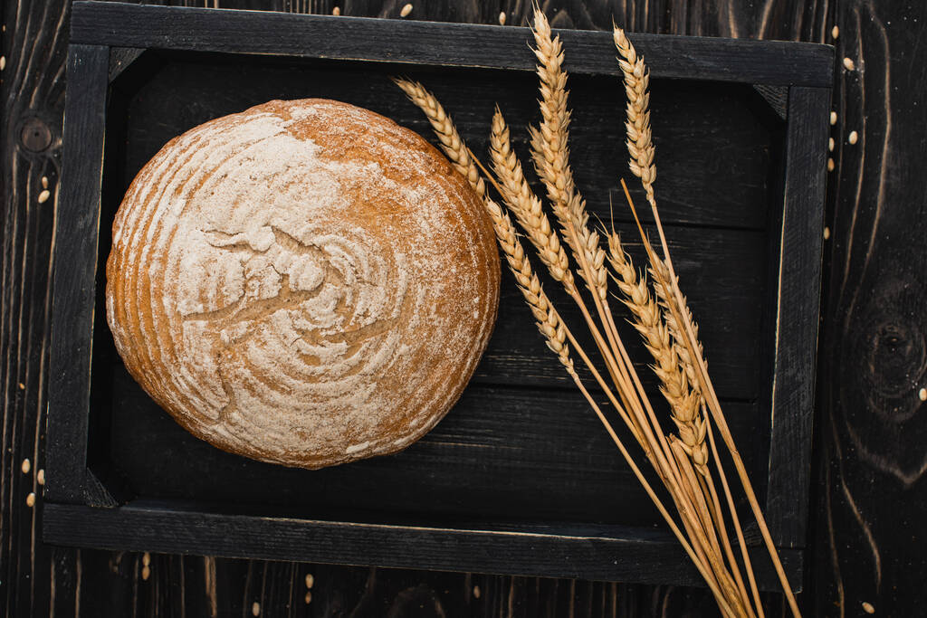 top view of fresh baked white bread loaf with spikelets on wooden black board - Photo, Image