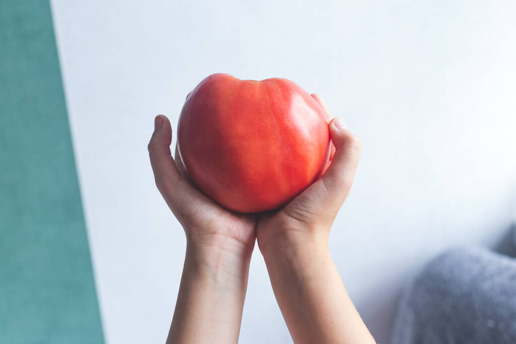 Suuri punainen tomaatti muotoinen sydän käsissä kevyellä taustalla. Rakkaus symboli, Ystävänpäivä. Kardiologia, lääketiede, terveys. - Valokuva, kuva