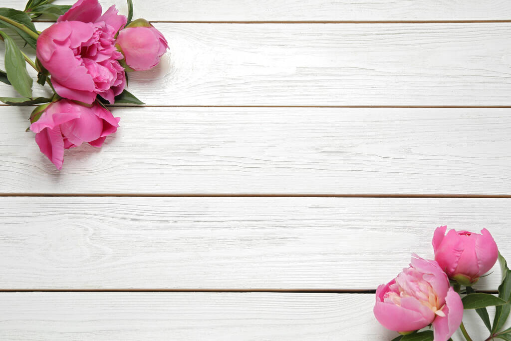 Belle peonie rosa su sfondo bianco in legno, posa piatta. Spazio per testo - Foto, immagini