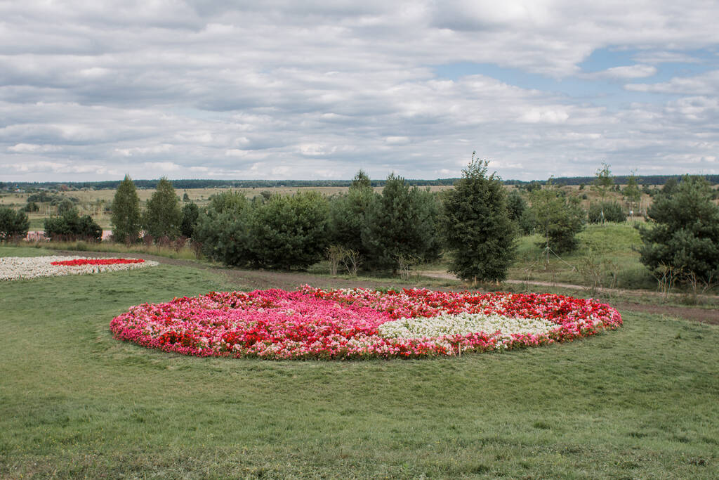 клумби з квітів, посаджені на полі
 - Фото, зображення