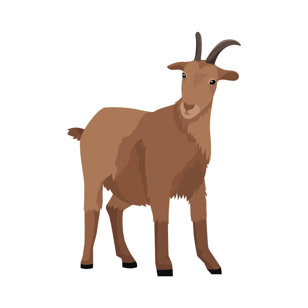 ilustración vector cabra, fondo elemento icono - Vector, Imagen