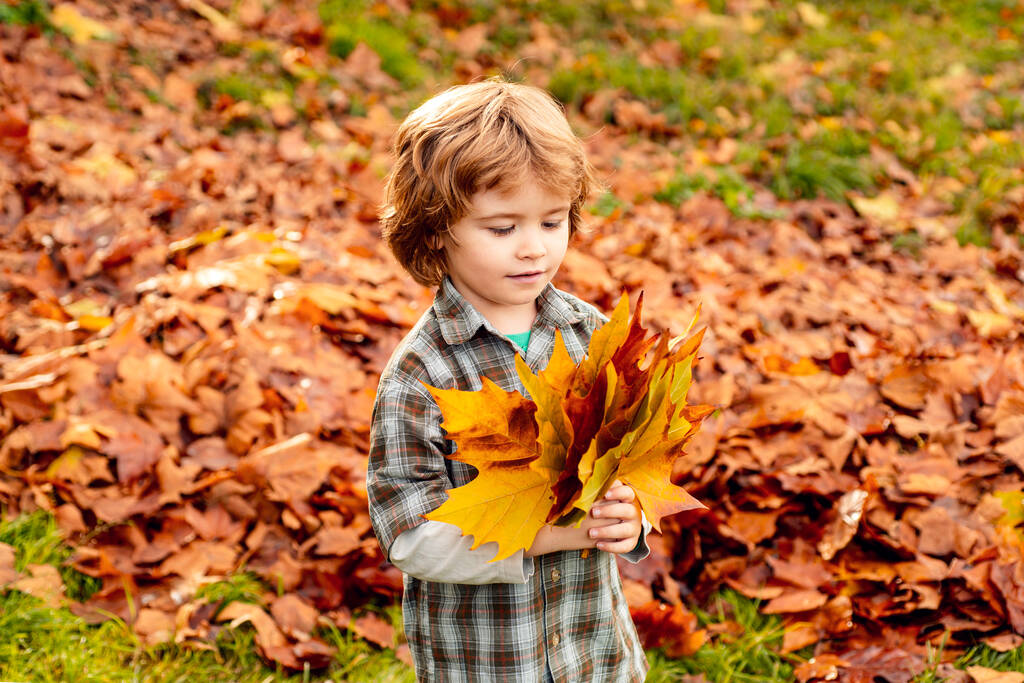 晴れた秋の日に公園で幸せな子供。可愛いです男の子でセーターで屋外で美しい秋の日. - 写真・画像