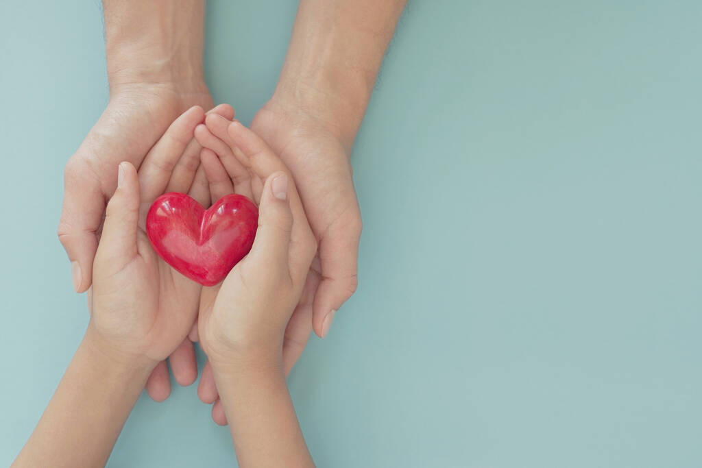 handen houden rood hart, gezondheidszorg, liefde, orgaandonatie, mindfulness, welzijn, familie verzekering en MVO concept, wereld hart dag, wereld gezondheidsdag, National Organ Donor Day - Foto, afbeelding