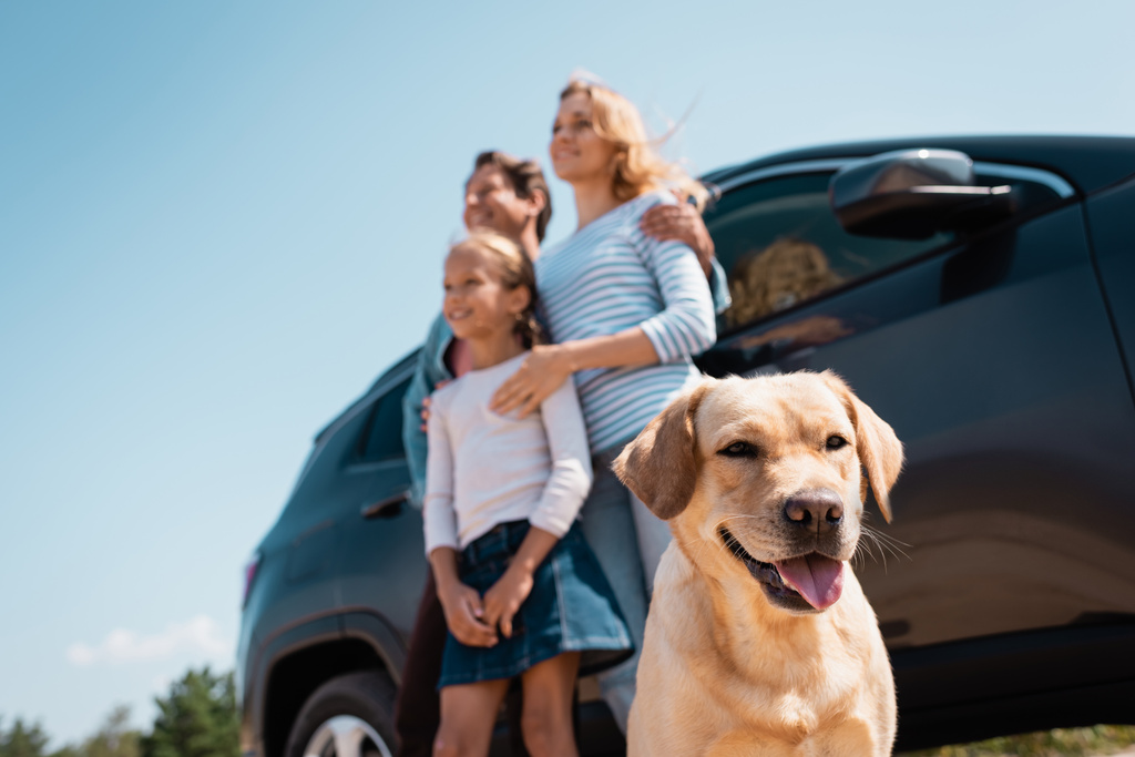 Valikoiva painopiste kultainen noutaja lähellä perheen vieressä auton ulkona  - Valokuva, kuva