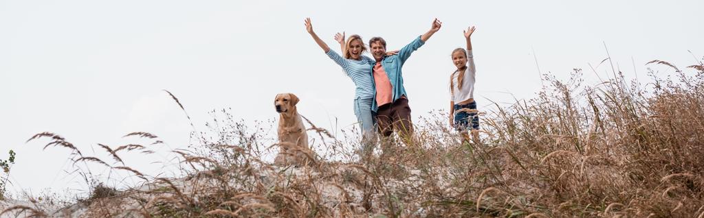 Golden Retriever 'ın çimenli tepede kameraya el salladığı panoramik bir aile fotoğrafı. - Fotoğraf, Görsel