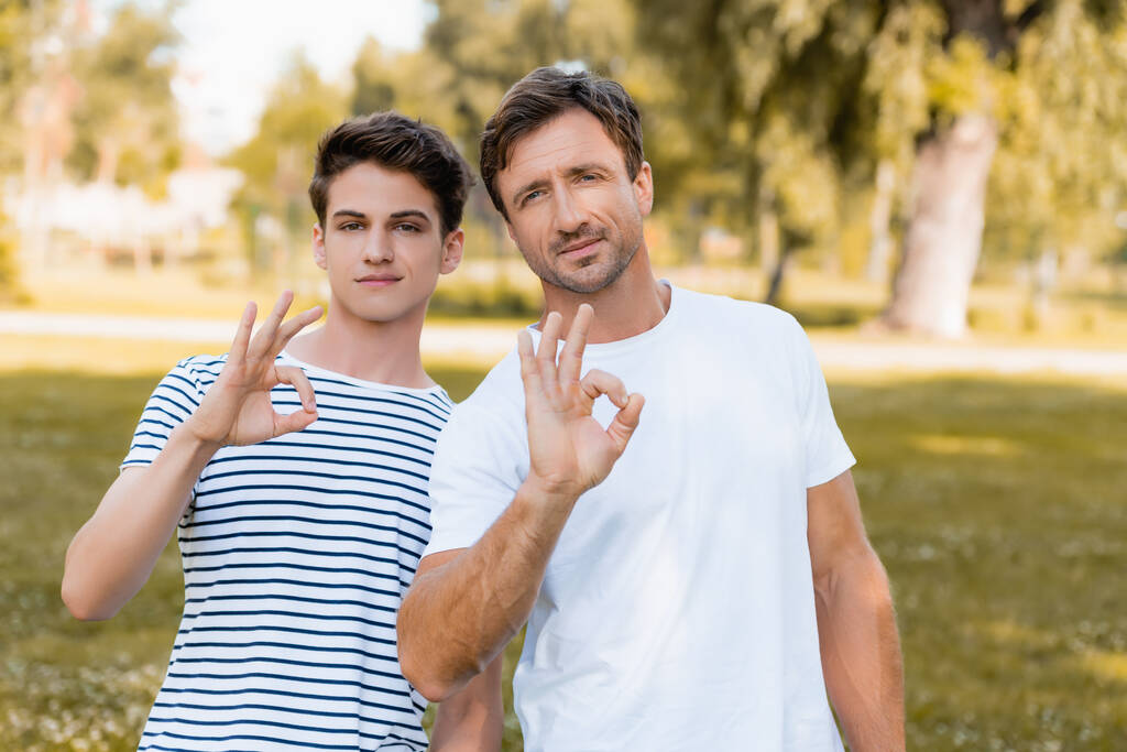 vader en tiener zoon in t-shirts tonen ok teken in park - Foto, afbeelding