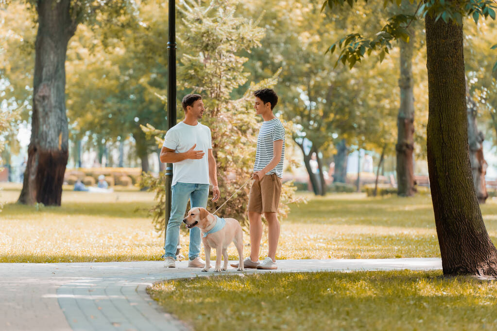 Teenager-Sohn und Vater schauen einander an, reden und stehen mit Golden Retriever auf Asphalt  - Foto, Bild