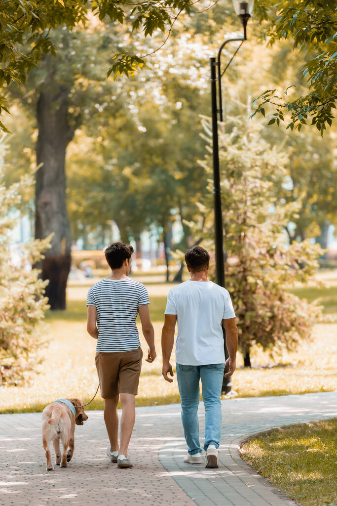 Rückansicht Teenager-Sohn und Vater laufen mit Golden Retriever auf Asphalt  - Foto, Bild