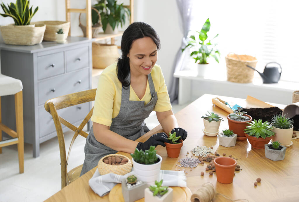Mujer madura maceta planta suculenta en casa. Interesante hobby - Foto, Imagen
