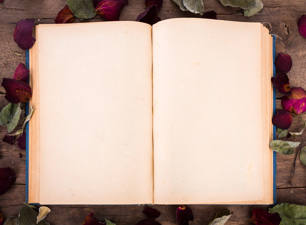 Libro abierto vintage con rosa seca
 - Foto, Imagen