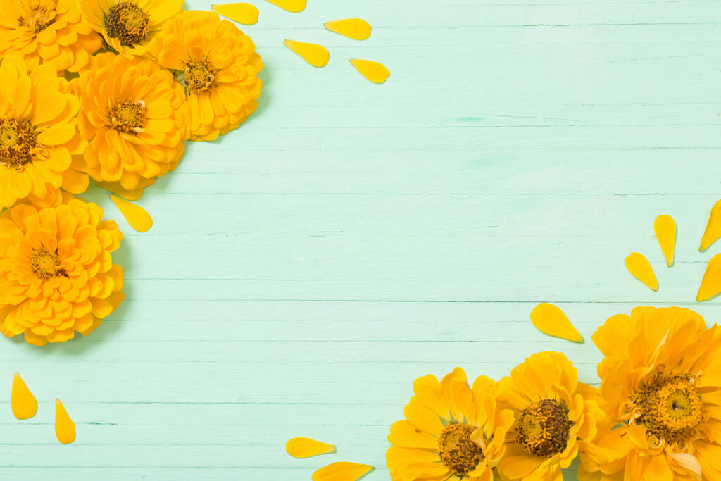 żółte kwiaty cynku na zielonym drewnianym tle - Zdjęcie, obraz