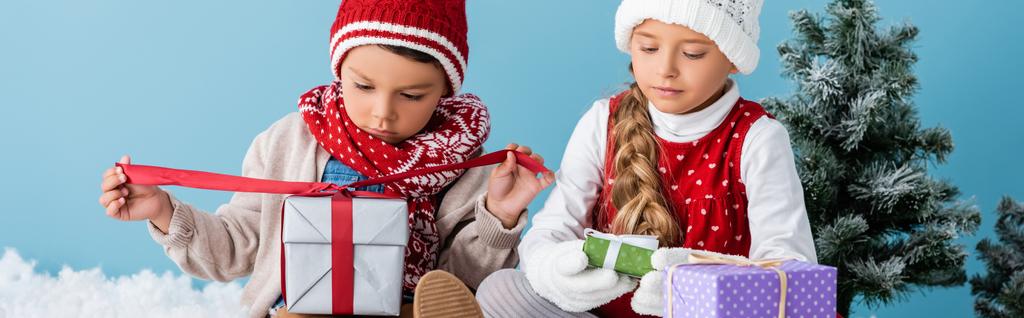 panoramatický záběr dětí v zimním oblečení sedí v blízkosti jedlí a drží dárky izolované na modré - Fotografie, Obrázek