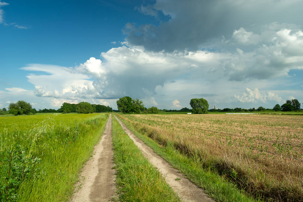 Longue route de campagne à travers champs et nuages sur ciel bleu, vue d'été - Photo, image