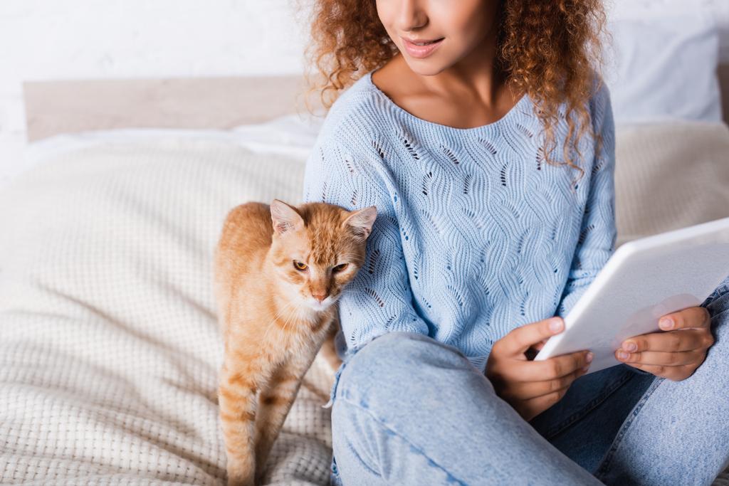 Widok kręcone kobieta trzyma cyfrowy tablet w pobliżu tabby kot na łóżku w domu  - Zdjęcie, obraz