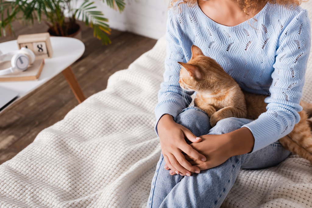 Vista ritagliata della donna seduta sul letto con gatto tabby a casa  - Foto, immagini